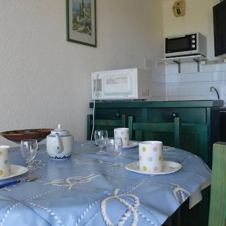 Appart. En Bord De Avec Piscine, Parking Et Animaux Acceptes - Fr-1-225d-128 Saint-Cyprien (Pyrenees-Orientales)